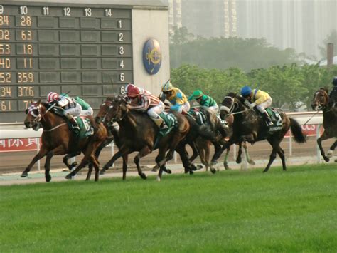 香港賽馬如何觀看：從多角度探討馬術競技的觀賞體驗