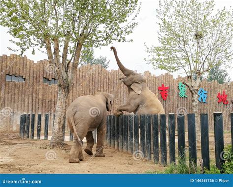 山東哪個野生動物園 當前山東野生動物保護狀況如何?